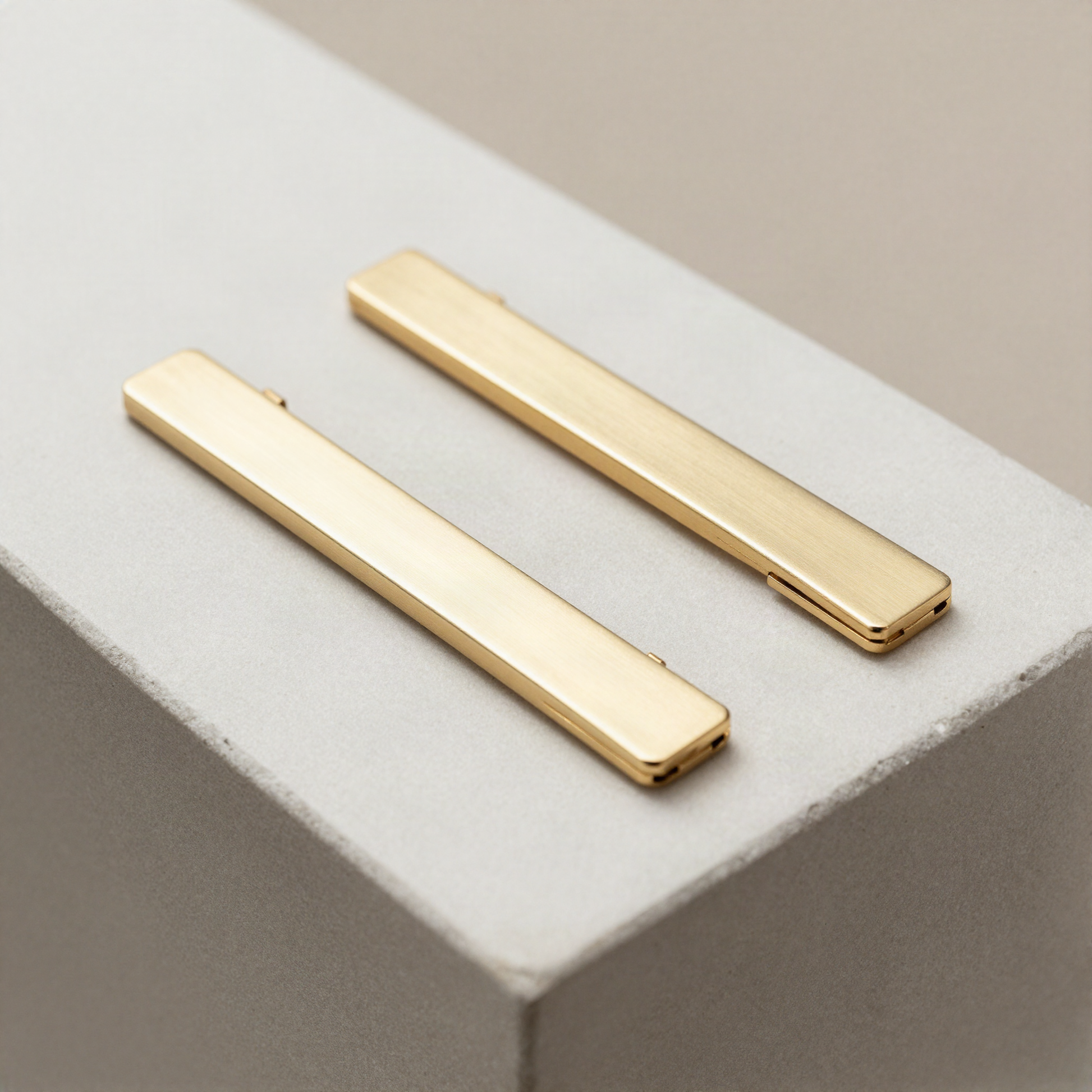 Rectangular Snap Barrette Duo